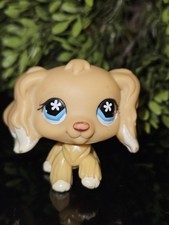 ✨️Authentic Littlest Pet