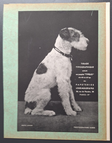 Planche gravure 1932 chien - ",