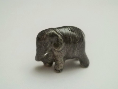 Magnifique éléphant - magnifique,