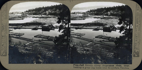 Suède kramfors pins - suède,, kramfors,