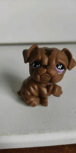 Little petshop lps - little,