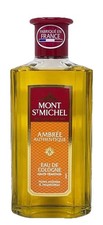 Mont saint michel - mont,