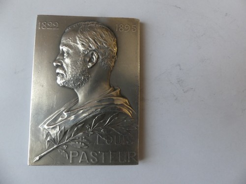 Medaille plaque bronze argente - bronze,