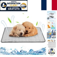 Tapis Rafraîchissant Durable