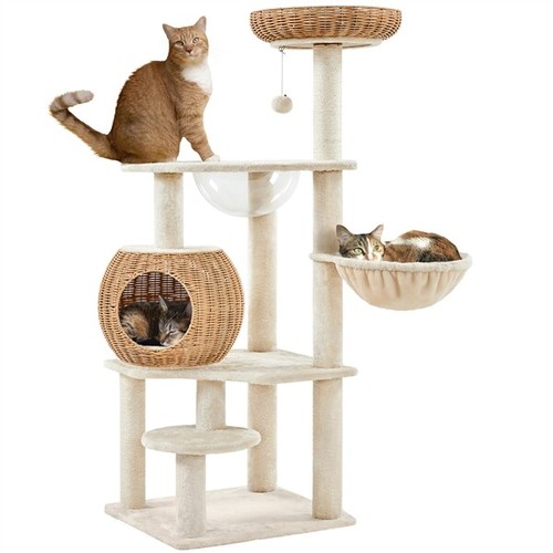 Arbre chat rotin - chat, en