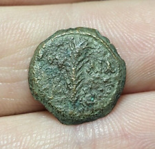 #42-6 ~ Judea - Judée Gouverneurs romains - Branche palmier TIB/KAI/CAP - Prutah