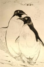 FRANCE (Anatole). L'île des