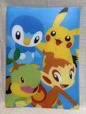 Pokemon Photo Album