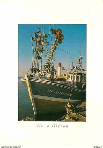 Carte postale ile - -,