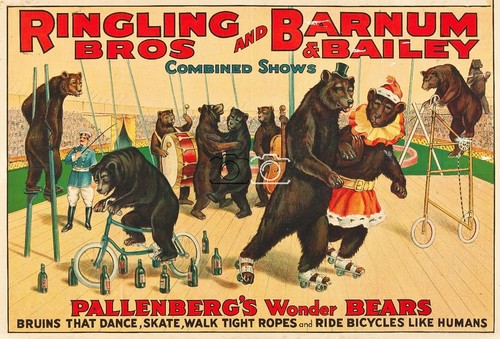 Cirque ringling bros barnum - cirque,