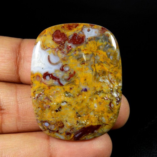 Agate racine palmier jaune - racine,