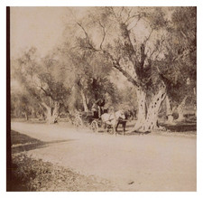 Grèce, Corfou, Voiture