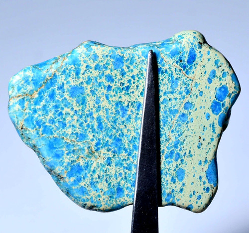 Naturel bleu crête turquoise - bleu,