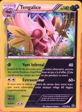 carte Pokémon 11/114