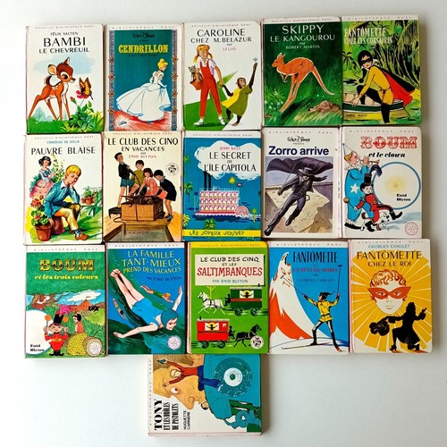 Lot livres bibliothèque - 16,