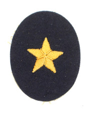 Insigne de spécialité