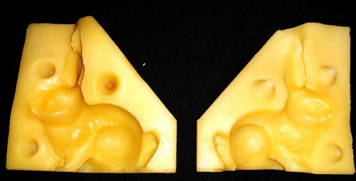 299 moule silicone - en,