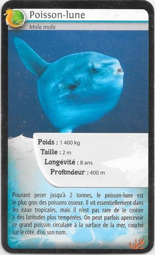 Carte bioviva poisson - poisson, lune