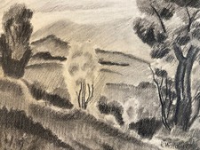 tres beau dessin Arbre Papier Fusain Crayon Sur Papier 1960 Ancien a identifier