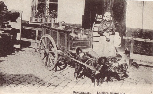 Cpa belgique bruxelles - -,