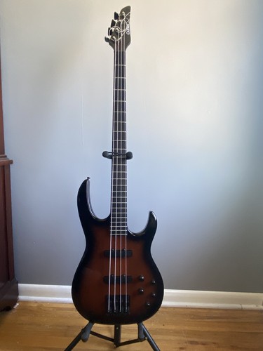 Carvin lb20 custom - bass, guitar