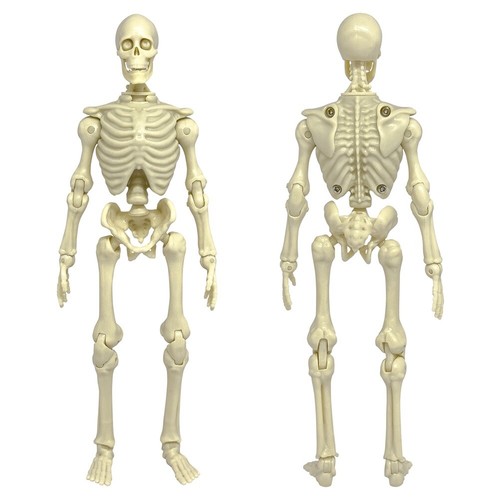 Super articulated inch - articulated, 8