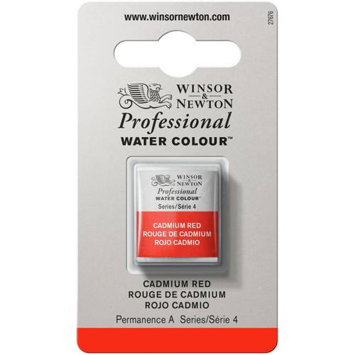 Aquarelle professionnelle - aquarelle,