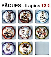 CAPSULES  de   CHAMPAGNE