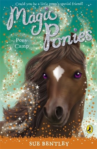 Magic ponies pony camp - magic,