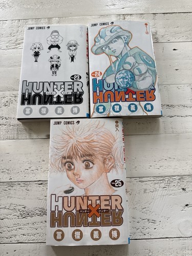 Hunter manga - x,