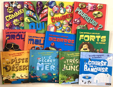 COLLECTION 12 QUESTIONS