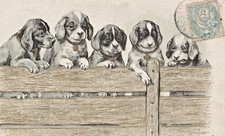 CPA FANTAISIE Chiots chiens