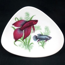 COUPELLE Vintage "POISSONS COMBATTANTS", PORCELAINE DE LIMOGES, betta splendens