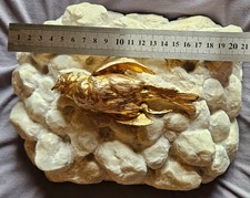 L' oiseau mort d'après Paul