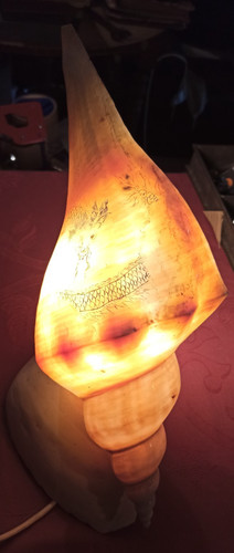 Ancienne lampe coquillage - ancienne,
