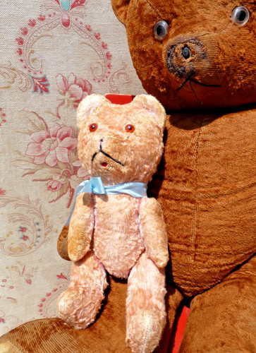 Ancien petit ours - ancien,