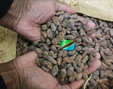 fèves de cacao BIO, origine
