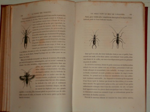 Monde des insectes s - le, s.henry