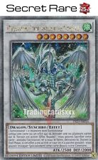 Yu-Gi-Oh! Dragon Poussière d'Étoile : QCSE TN23-FR016