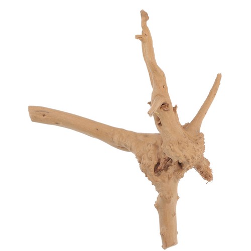 Fournitures pour aquarium - pour,