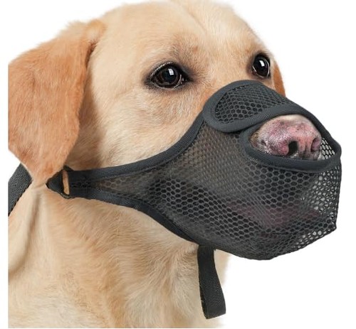 Muselière pour chien - , en
