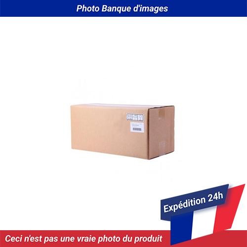 2121569 epson epl 6200 unité - epson, epl-6200