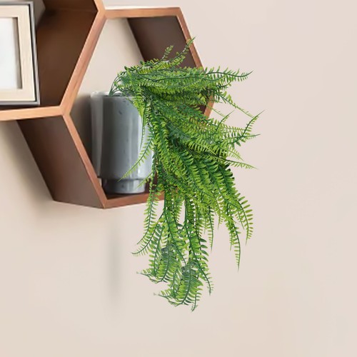 Plantes suspendre - plantes, à