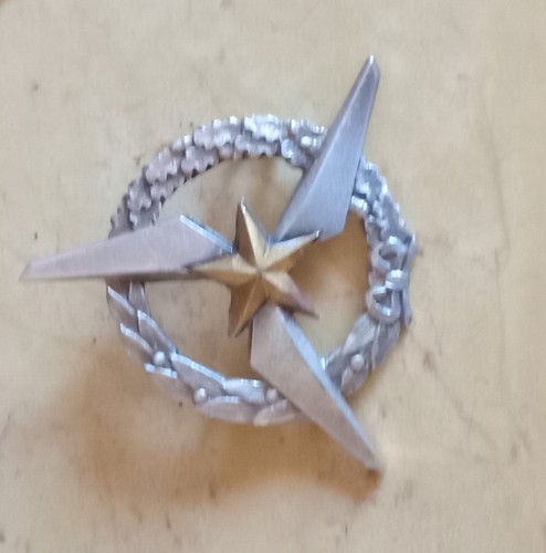 Insigne brevet pilote - insigne,