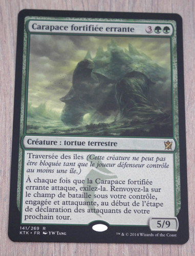 Magic carapace fortifiée - ,