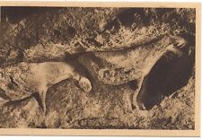 les Eyzies  abri du cap-blanc ,bas reliefs ,magdaléniens ,chevaux sculptés