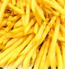 50 Graines D'Haricot nain mangetout beurre Maxidor