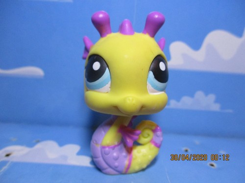 Petshop hippocampe 426 - n°426, /
