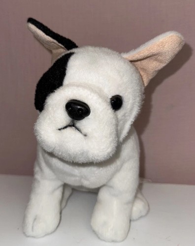 Animal alley bull terrier dog - bull,