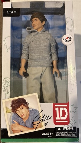Hasbro one direction - direction, liam